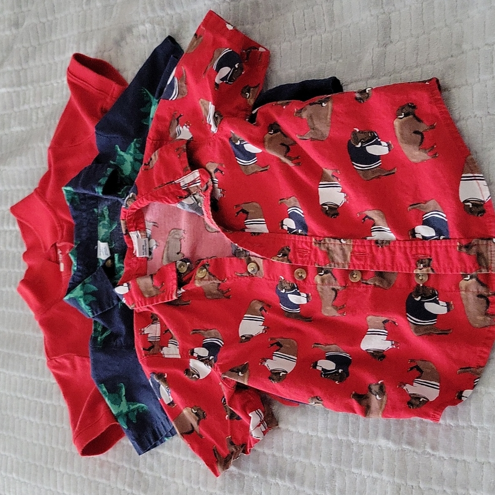 Toddler Shirt Bundle